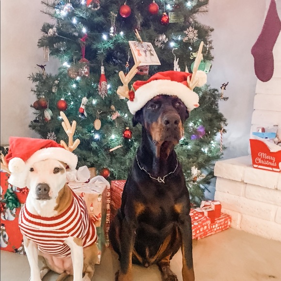 Meet your Posher, Tegan - Picture 11 of 13